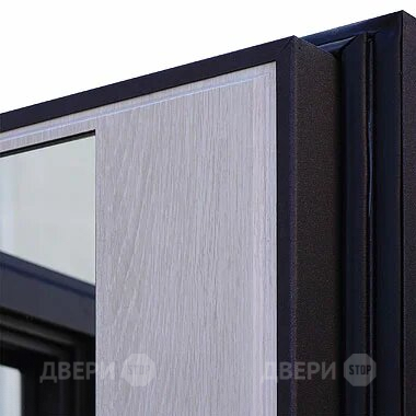 Входная металлическая Дверь Шелтер (SHELTER) Филадельфия Зеркало в Котельниках